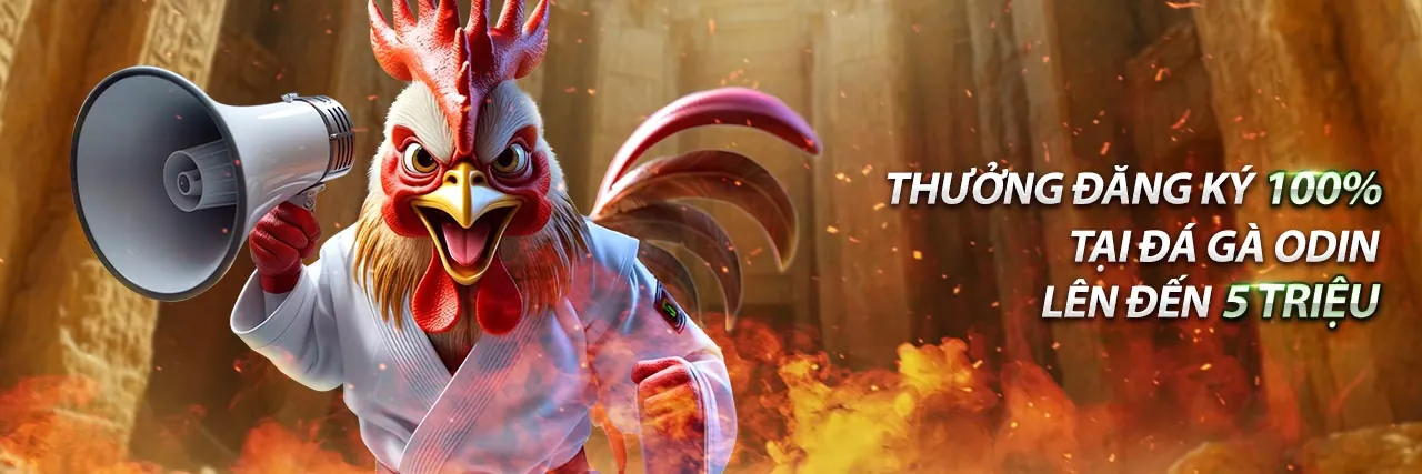 Đá Gà Trực Tuyến sunwin.hb